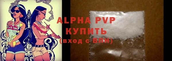 стаф Пересвет