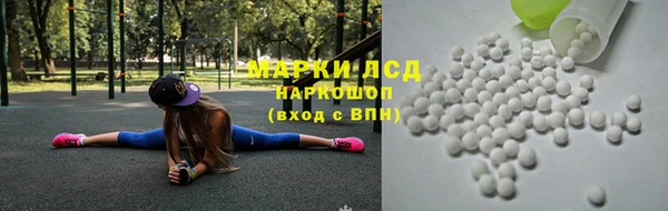 стаф Пересвет