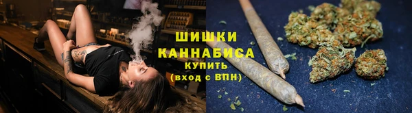 трава Осинники
