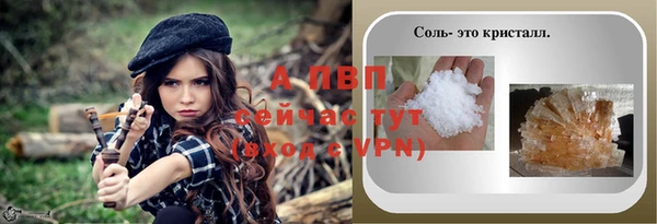 трава Осинники