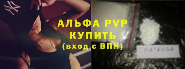 стаф Пересвет