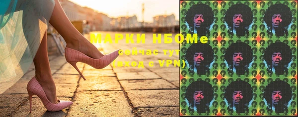 стаф Пересвет