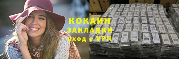 стаф Пересвет