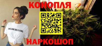 соль ск Аргун