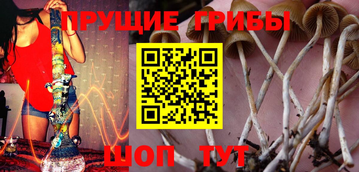 Псилоцибиновые грибы ЛСД Аша