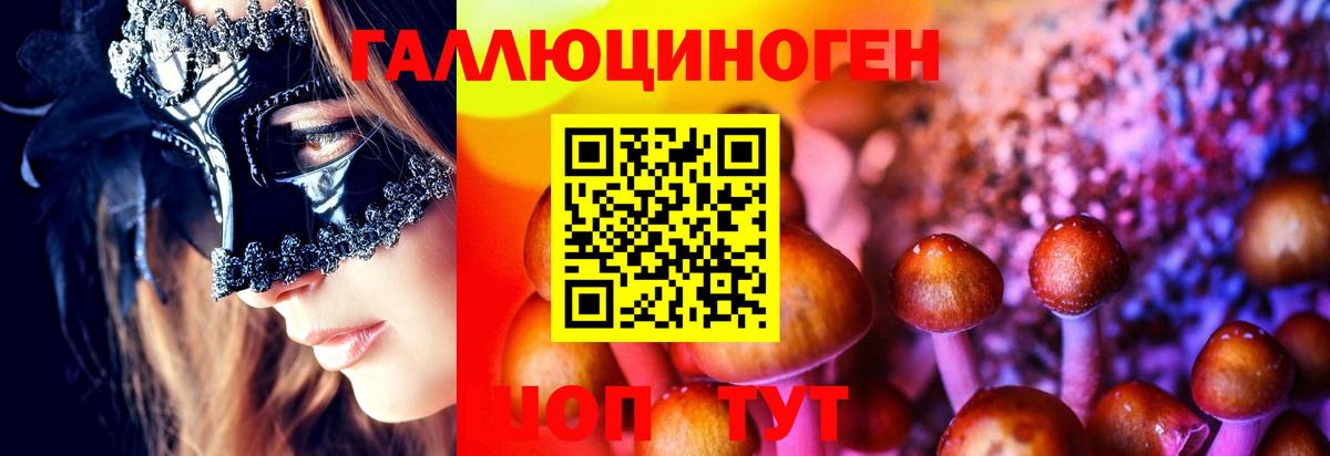 Галлюциногенные грибы Psilocybine cubensis  Псилоцибиновые грибы ЛСД  Аша 