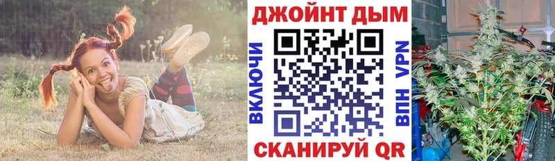 где продают наркотики  Аша  Канабис планчик 